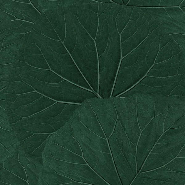 ESTA Home Xylem Green Evergreen Large Leaves Non-Pasted Matte Wallpaper Sample