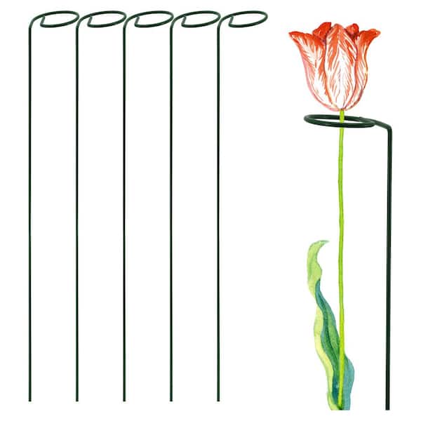18 in. H. x 2 in. Loop Flower Support (5-Pack)