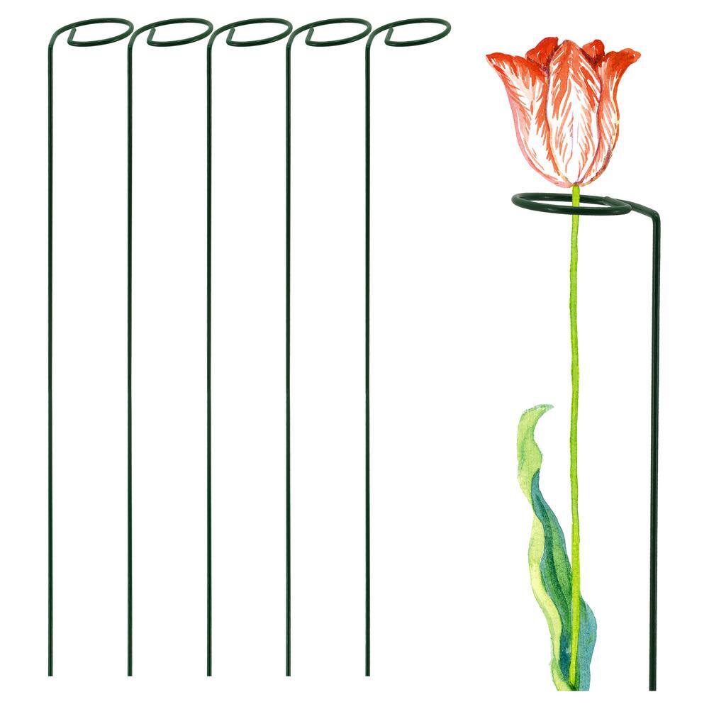 18 in. H. x 2 in. Loop Flower Support (5-Pack)