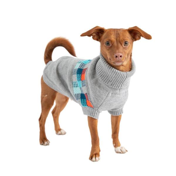 Dogs apparel & outlet accessories