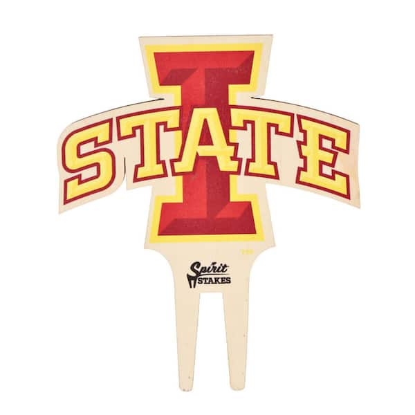 Iowa State University Color Planter Accessory