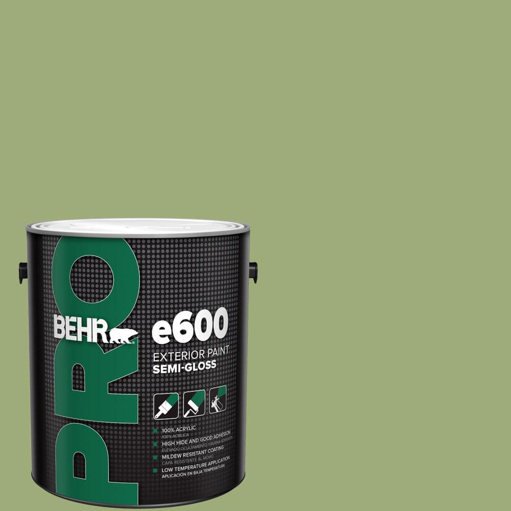 1 gal. #BIC-12 Siamese Green Semi-Gloss Exterior Paint price history on PriceWatchPro