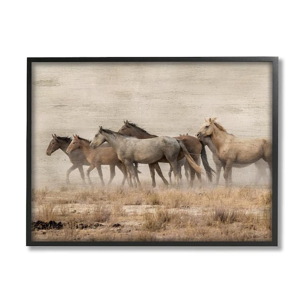 Galloping Horse Herd Countryside by Danita Delimont 1-Piece Black Framed Animal Giclee Art Print 14 in. x 11 in.