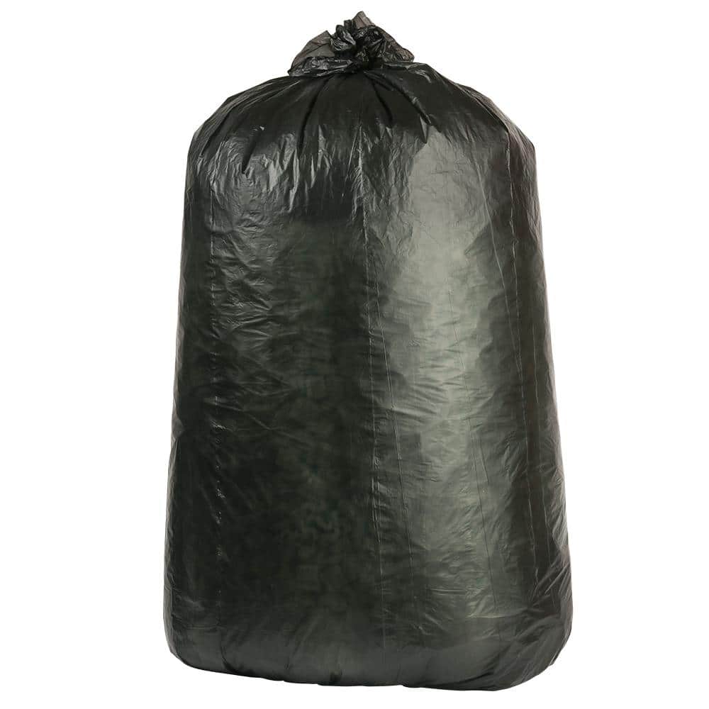 Plasticplace 20-30 Gal. Black Trash Bags (Case of 250) W25LDB1 - The Home  Depot