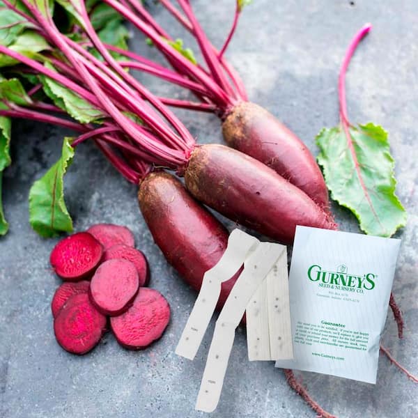 Gurney's Beet Forono 15 ft. Seed Tape