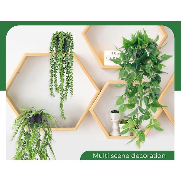 jade plant big Big Jade Plant 12-16” Tall, Live Succulent Crassula ovata, Real Tree R –  Jayme Garden