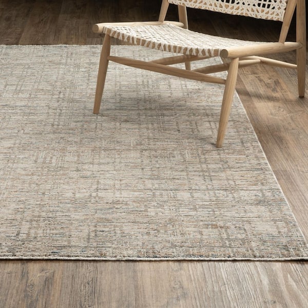 Solstice Beige/Multi 6 ft. x 9 ft. Earthy Abstract Distressed Polyester Fringed Indoor Area Rug