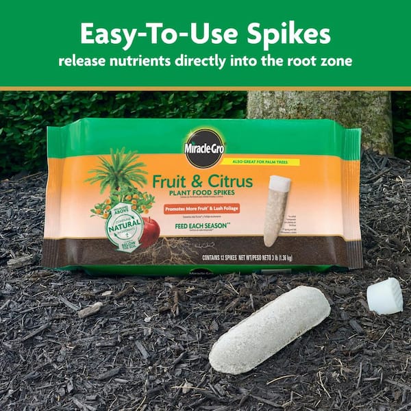Miracle-Gro 3 lb. Fruit Citrus and Palm Plant Food Spikes