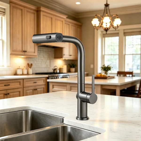 ANZA Single Handle Pull Down Sprayer Kitchen Faucet with Advanced