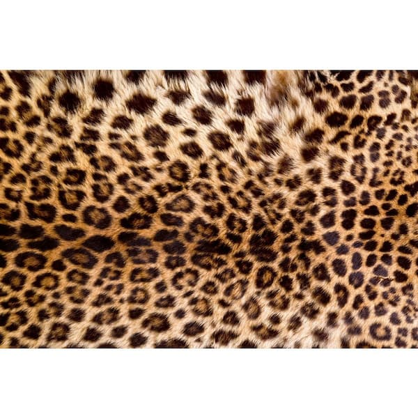 Dimex Tropical Leopard Skin Beach and Nautical Wall Mural