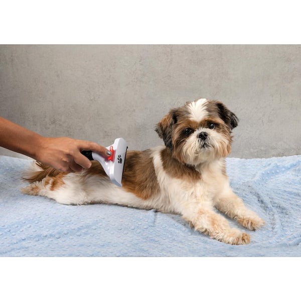 Shih tzu grooming brush sale