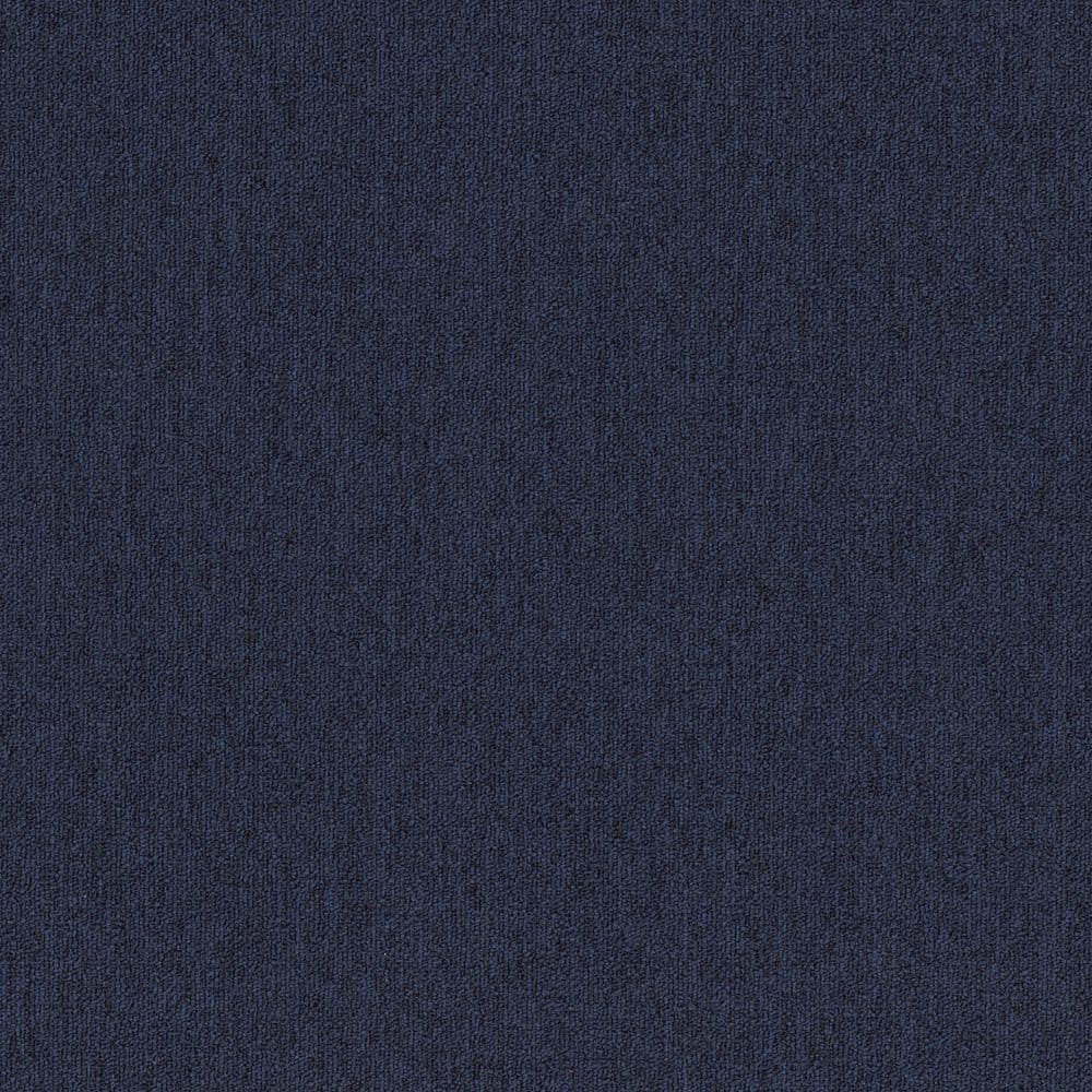 8 in. x 8 in. Loop Carpet Sample - Form Focus 26 - Color Navy price history on PriceWatchPro