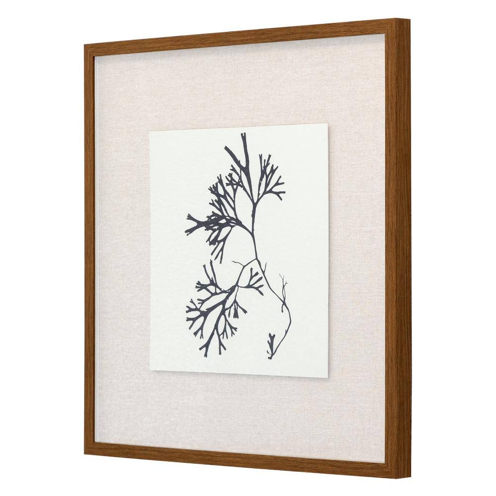 Natural Abstract Black and White Canvas Print with Wooden Frame
