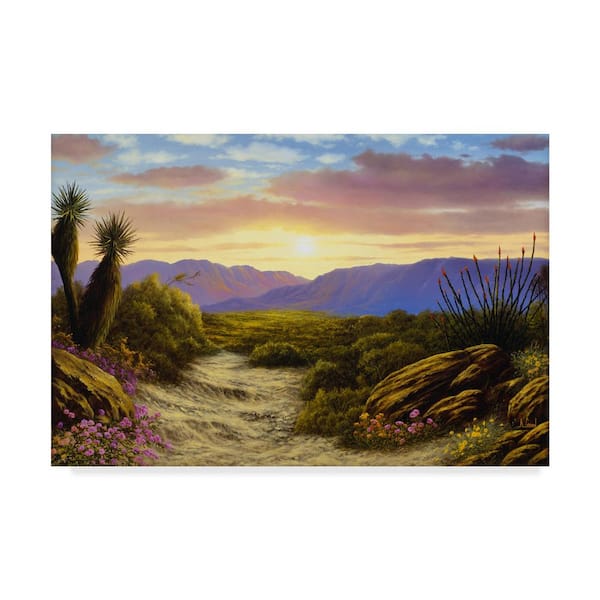 Trademark Fine Art Desert Scene by Anthony Casay Floater Frame Travel Wall Art 22 in. x 32 in.