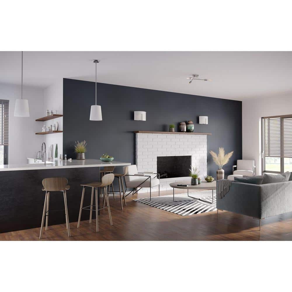 Clarion Collection 1-Light Brushed Nickel Etched White Transitional Pendant price history on PriceWatchPro