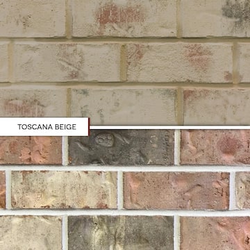 1 qt. Toscana Beige Limewash Interior/Exterior Paint