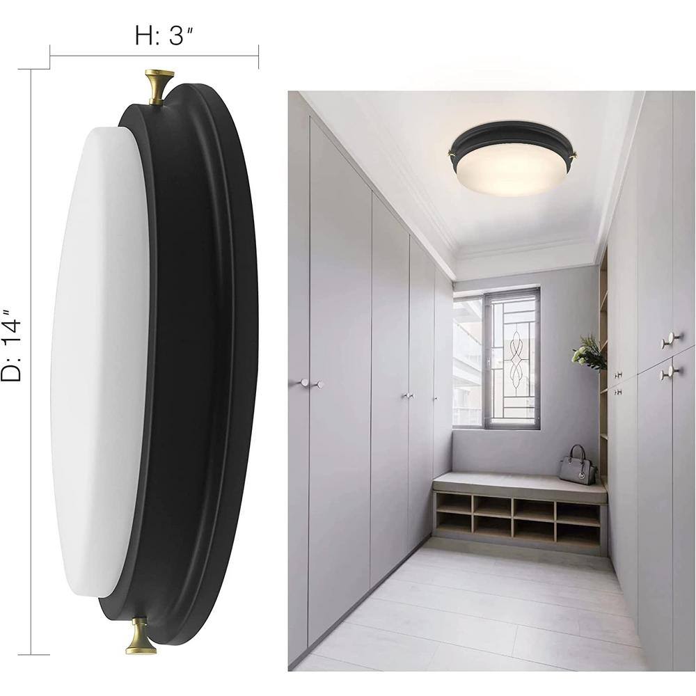 14'' Matte Black LED Flush Mount Ceiling Light with Frosted Glass Shade
