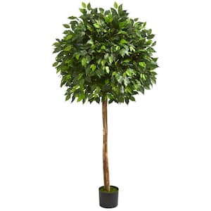 Indoor 5.5 ft. Ficus Artificial Tree