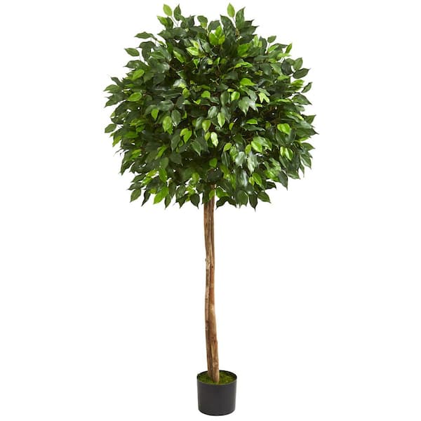 Nearly Natural Indoor 5.5 ft. Ficus Artificial Tree