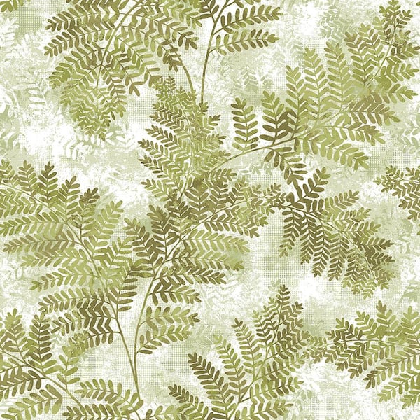 Advantage Cyathea Light Green Fern White Wallpaper Sample