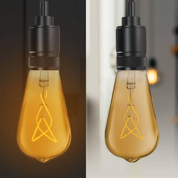 Feit Electric 60-Watt Equivalent ST19 Dimmable Knot Thin Feit Electric 60-Watt Equivalent ST19 Dimmable Knot Thin
