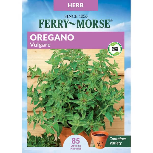 Ferry-Morse Oregano Vulgare Seed