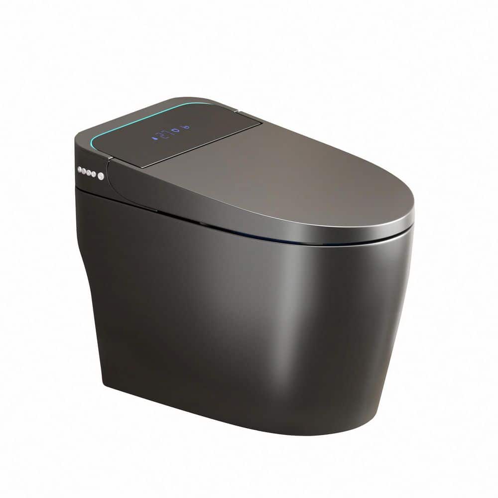 Elongated Bidet Toilet 1.28 GPF in Gray with Heated Seat, Auto Open/Close, Warm Water Dryer, Night Light, Foot Sensor price history on PriceWatchPro