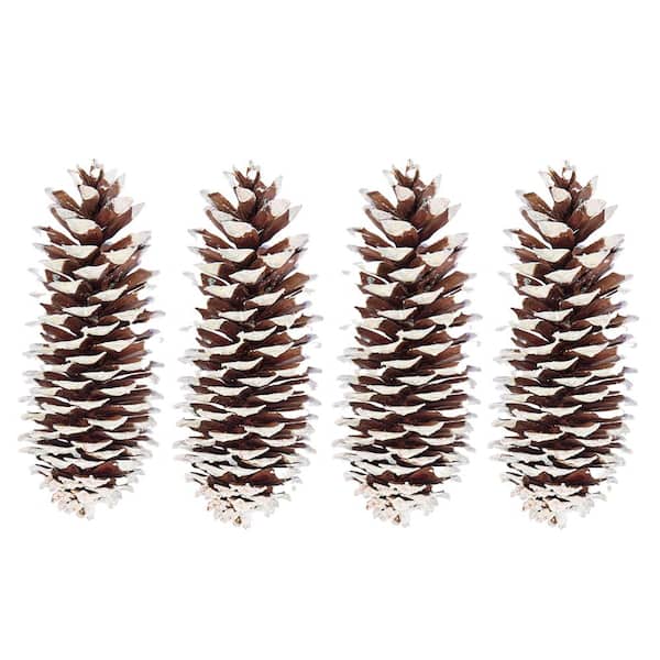 Durable and Versatile: 6 Pcs Frosted Pine Cones for Indoor and Outdoor  Decorating - 24 Pcs
