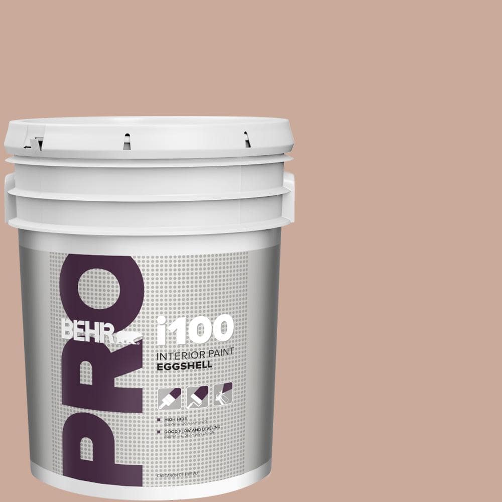 5 gal. #ICC-97 Powdered Allspice Eggshell Interior Paint price history on PriceWatchPro