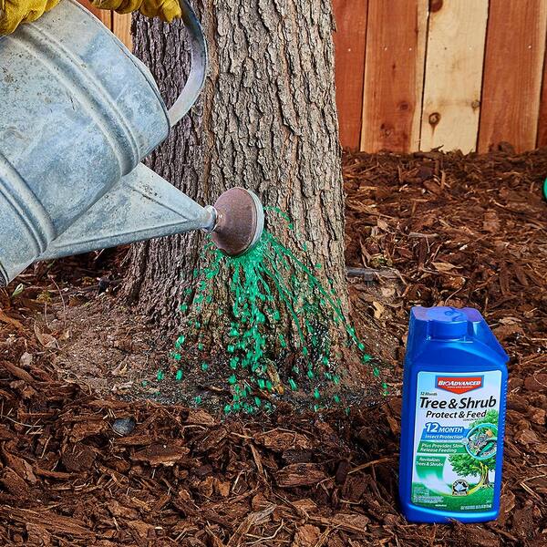Bioadvanced 32 Oz Concentrate Tree And Shrub Protect With Feed 701810a The Home Depot