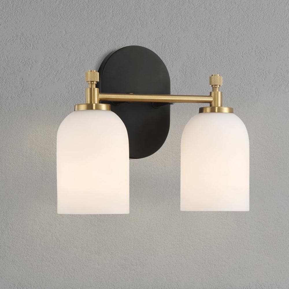 12.25 in. 2-Light White Frosted Vanity Light with Traditional Style, Over Bathroom Mirror Wall Sconce price history on PriceWatchPro