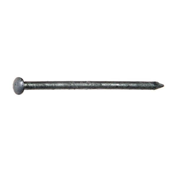 Grip Rite 12 X 2 1 2 In 8 Penny Hot Galvanized Oval Head Siding Nails