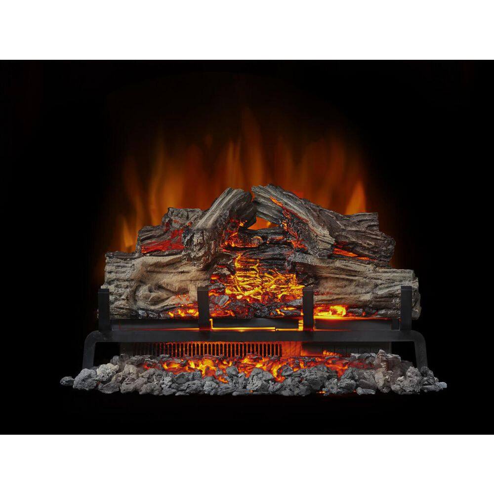 NAPOLEON Woodland 24 in. Electric Fireplace Logs NEFI24H - The