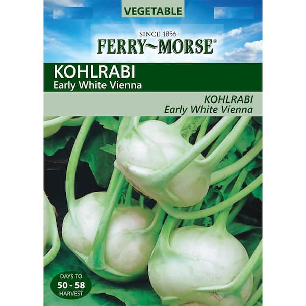 Kohlrabi Early White Vienna Vegetable Seed