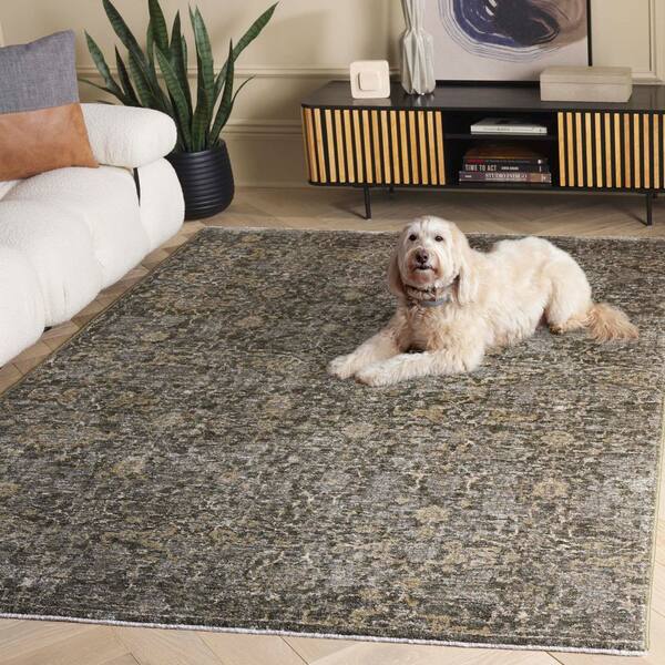 SAFAVIEH Vintage Overdye 8 ft. x 10 ft. Green/Gray Abstract Ornate