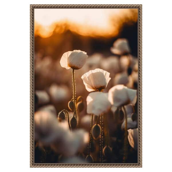 Amanti Art "White Poppy Field No 2" by Treechild 1-Piece Floater Frame Giclee Nature Canvas Art Print 23 in. x 16 in.