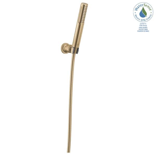 Delta Bonacci ProClean 2-Spray Wall Mount Handheld Shower Head