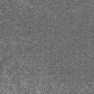 Coral Reef I - Silver Shores - Gray 65.5 oz. Nylon Texture Installed Carpet