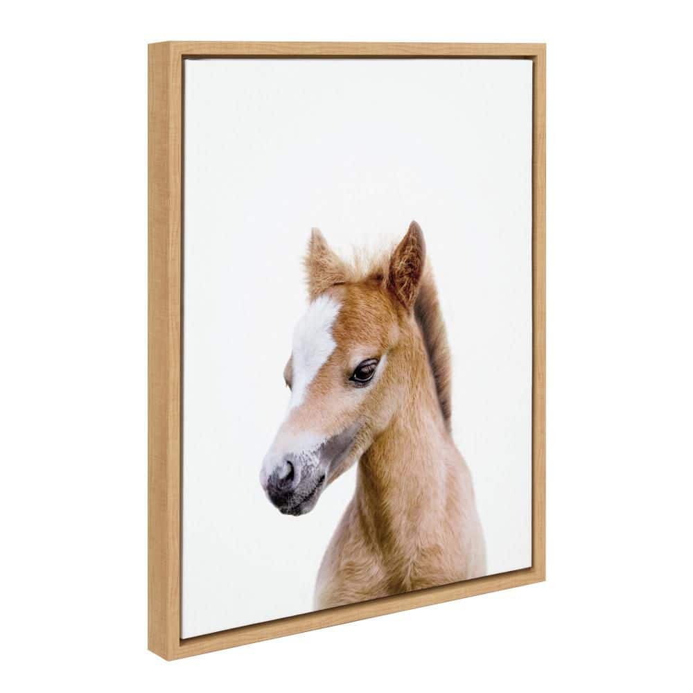 "Sylvie ""Animal Studio Baby Horse"" by Amy Peterson Art Studio Natural Framed Art Print 18 in. x 24 in." price history on PriceWatchPro