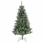 National Tree Company First Traditions 6 ft. Acacia Flocked Artificial ...