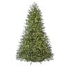 Home Decorators Collection 7.5 ft Elegant Grand Fir LED Pre-Lit Artificial Christmas Tree with Timer with 2000 Warm White Lights W14N0063
