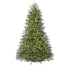 Home Decorators Collection 9 ft Elegant Grand Fir LED Pre-Lit ...