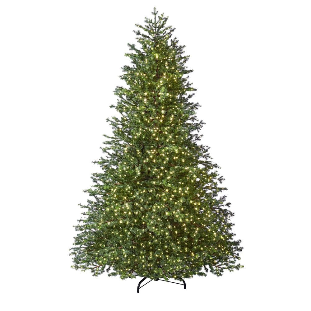 Home Decorators Collection 9 ft Elegant Grand Fir Pre-Lit Artificial Christmas with Timer with 3000 Lights W14N0139 - The Home Depot