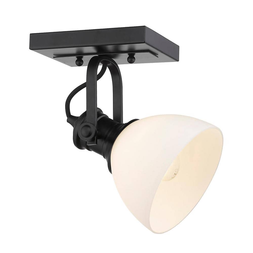 Matte Black Glass Transitional Indoor/Outdoor Light Fixture