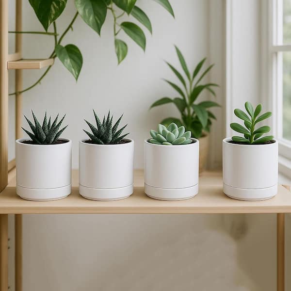 Small White Ceramic Indoor/Outdoor Planter with Saucer (4.7 in. W