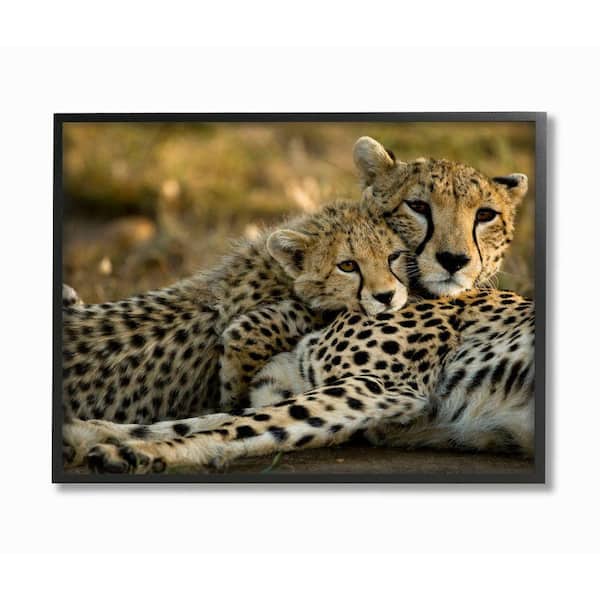 The Stupell Home Decor Collection 16 In X 20 Cheetah Family Mother With Cub By Joe Mcdonald Framed Wall Art Aap 300 Fr 16x20 - Cheetah Home Decor