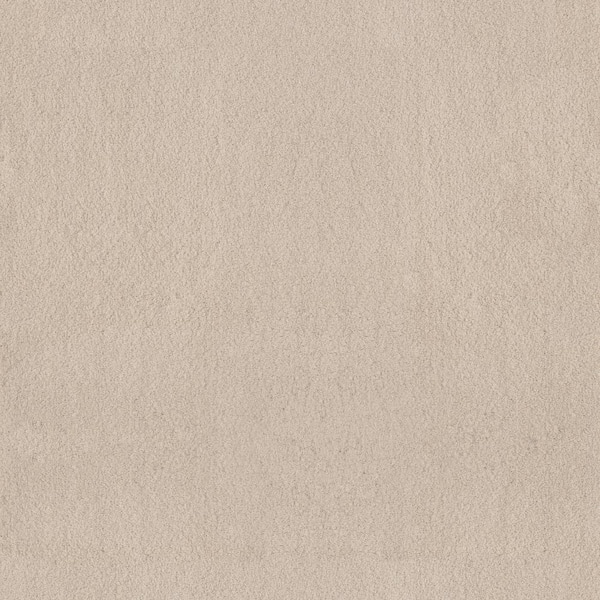 Lifeproof Dreamy Daze II Glo Beige 66 oz. Nylon Texture Installed Carpet