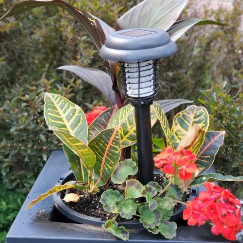 Black Solar Powered 2-in-1 Bug Zapper Stake Light