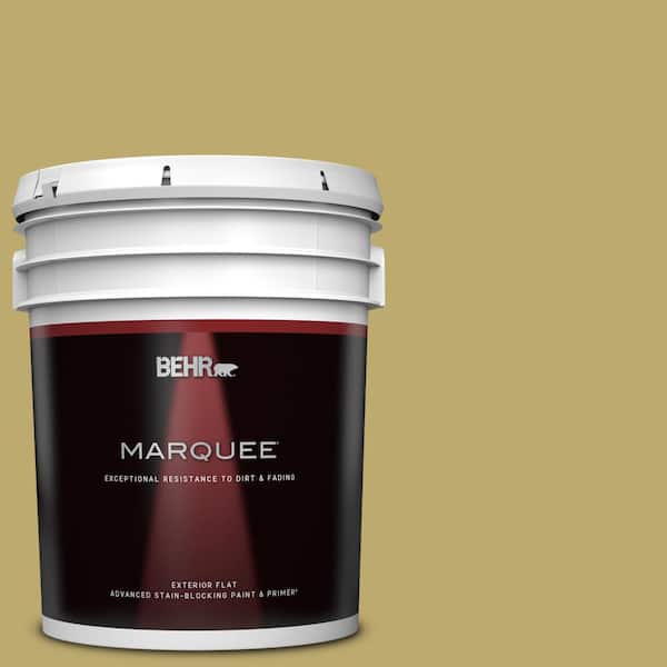 BEHR MARQUEE 5 gal. #370F-5 Coriander Seed Flat Exterior Paint & Primer