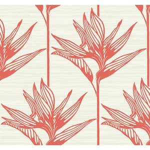 60.75 sq. ft. Bird of Paradise Wallpaper